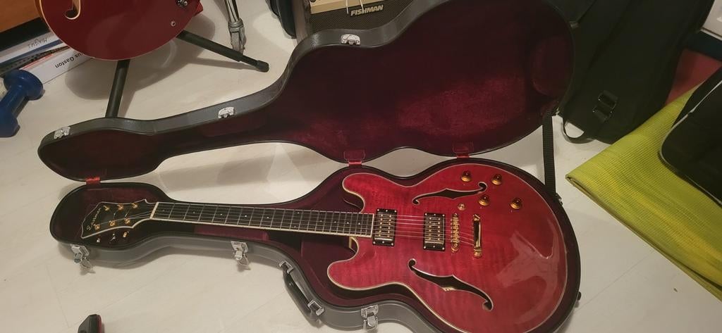 Eastman thinline model T186 MX, 2006, NL 004, Muziek en Instrumenten, Ophalen, Zo goed als nieuw, Hollow body, Overige merken