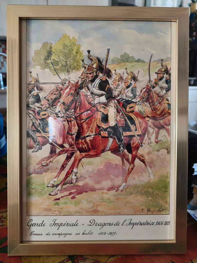 Napoleon, Ophalen of Verzenden, Landmacht, Nederland