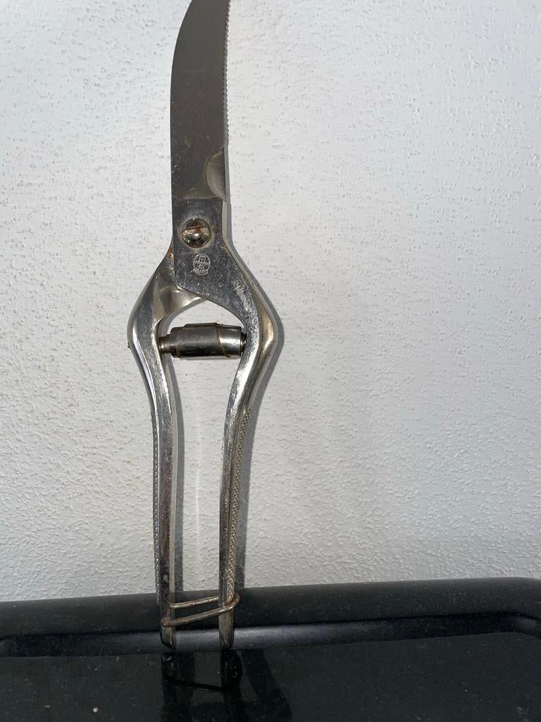 Gevogelte schaar, Ophalen of Verzenden, Zo goed als nieuw