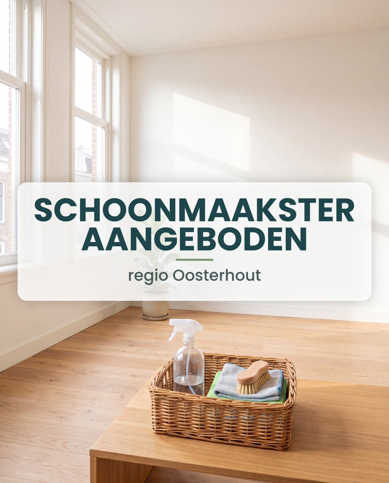 Schoonmaakster aangeboden – regio Oosterhout, Huis en Inrichting, Verzenden