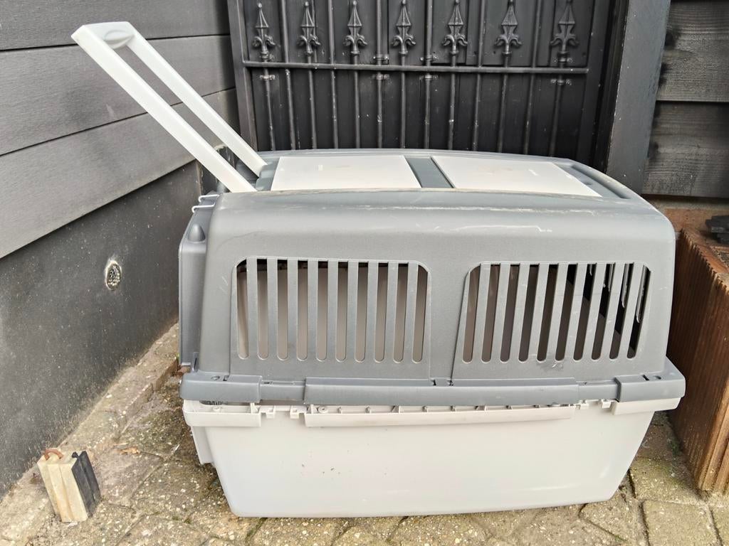 Reisbench hond of kat, Ophalen of Verzenden