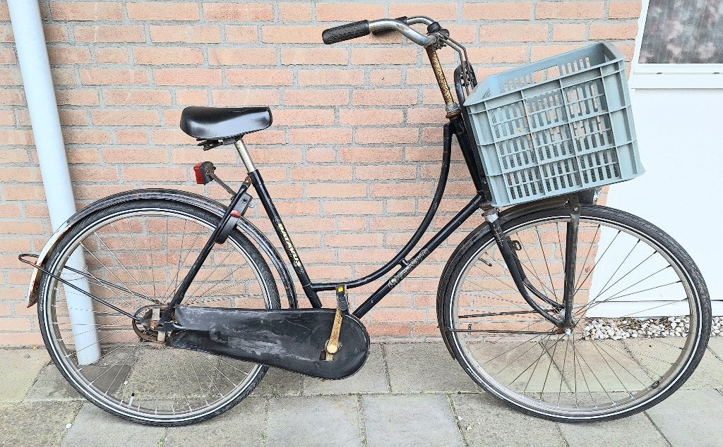 Damesfiets, Ophalen, Terugtraprem, Batavus, 53 tot 56 cm