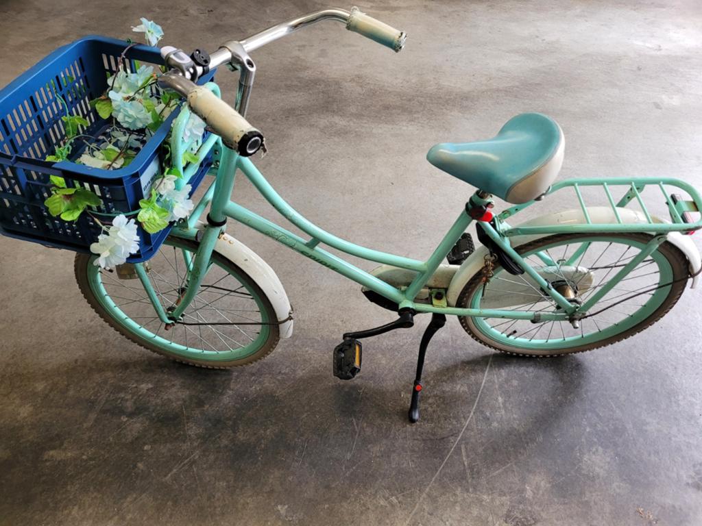 Spirit meisjesfiets 22 inch - opknappertje, Ophalen, Terugtraprem, 22 inch, Gebruikt