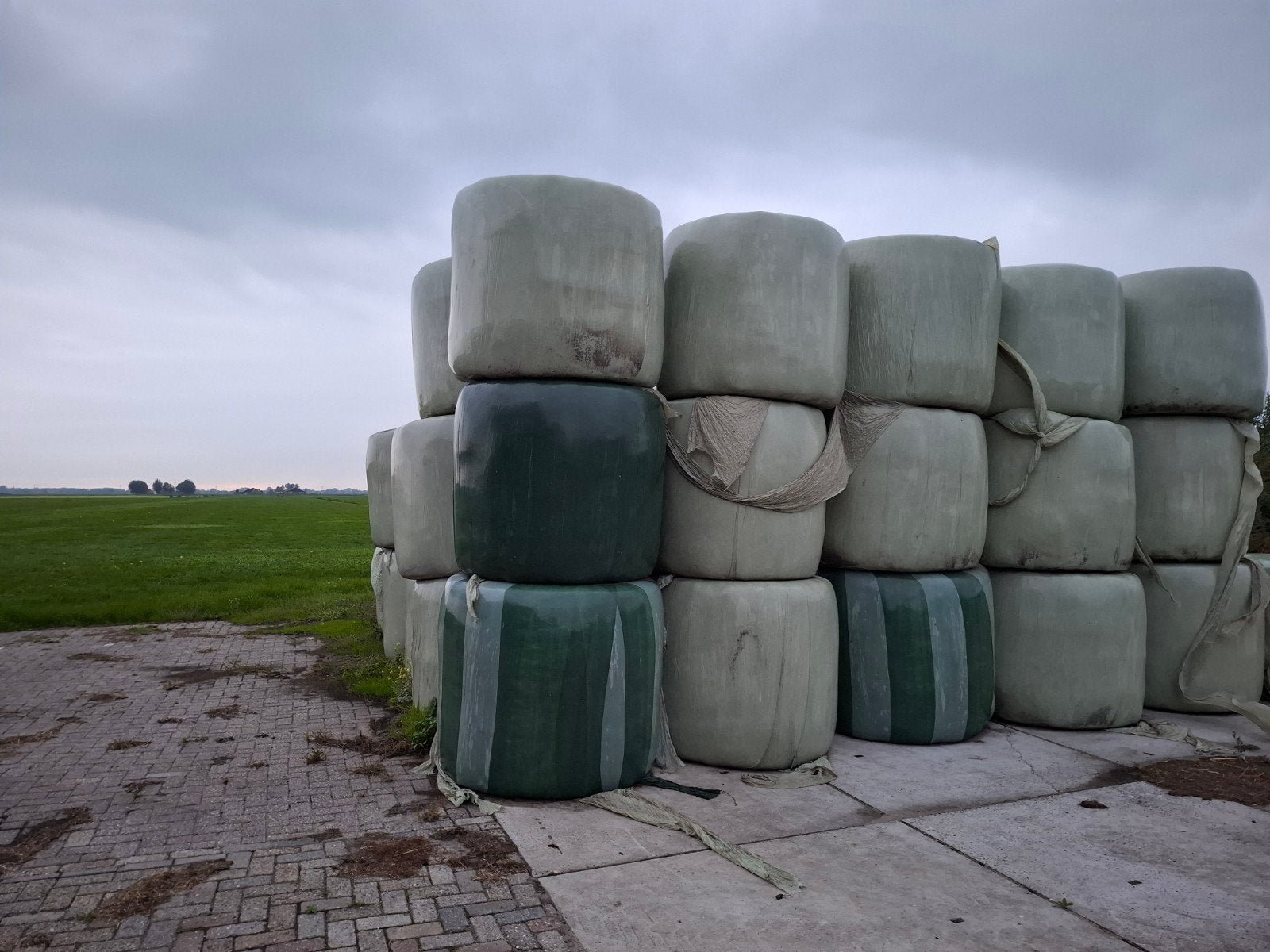 Hooibalen / kuilbalen / paardenhooi. pakken te koop, Dieren en Toebehoren, Ophalen of Verzenden, Vee