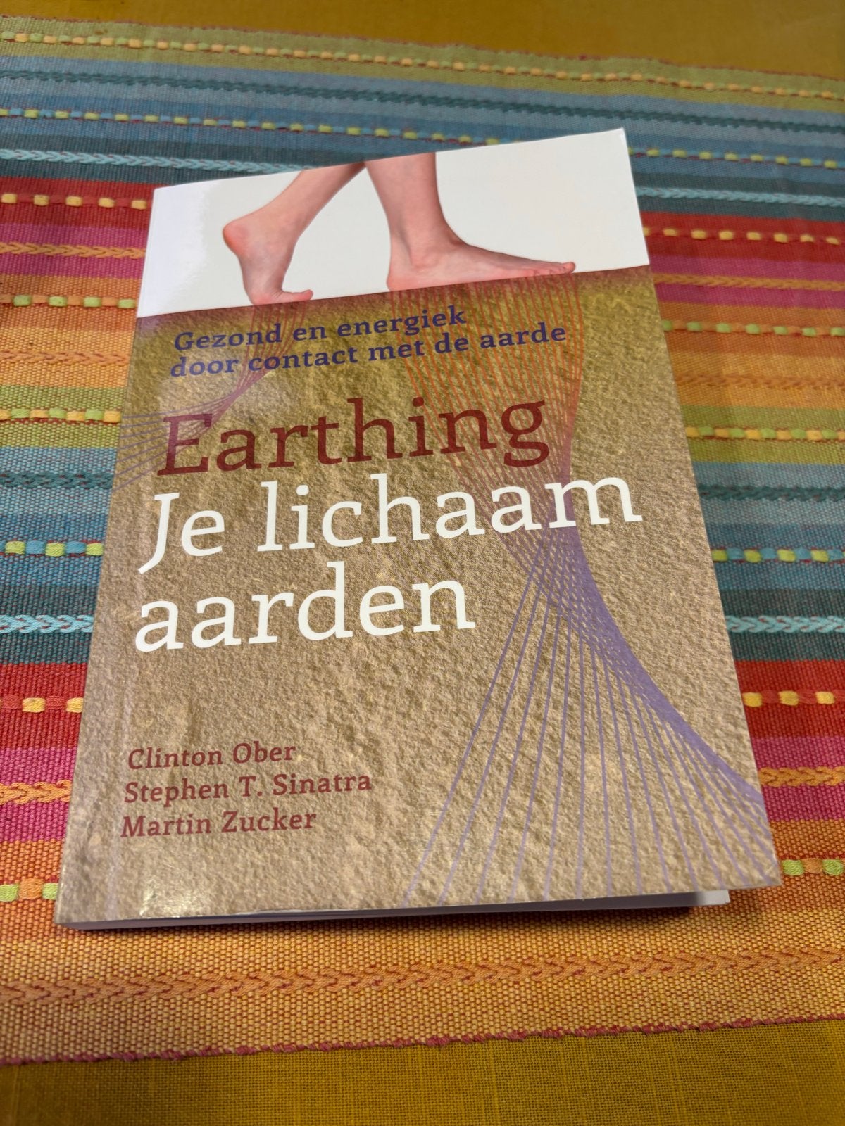 Boek: Earthing - Je lichaam aarden, Boeken, Ophalen of Verzenden, Gelezen, Gezondheid en Conditie