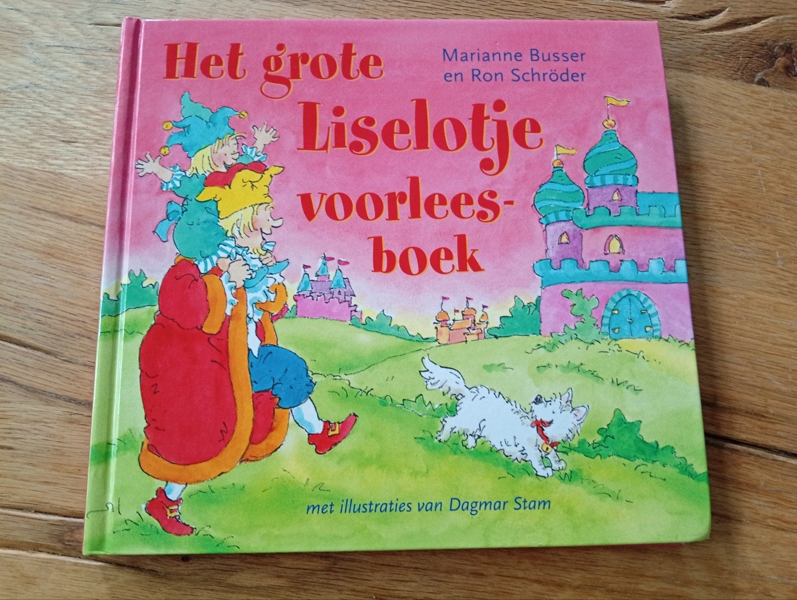 Ron Schröder - grote Liselotje voorleesboek, Boeken, Fictie algemeen, Ron Schröder; Marianne Busser, Ophalen of Verzenden, Zo goed als nieuw