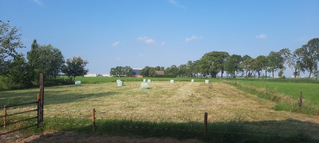Mooi paardenhooi Midibalen, Dieren en Toebehoren, Dierenvoeding, Ophalen, Vee