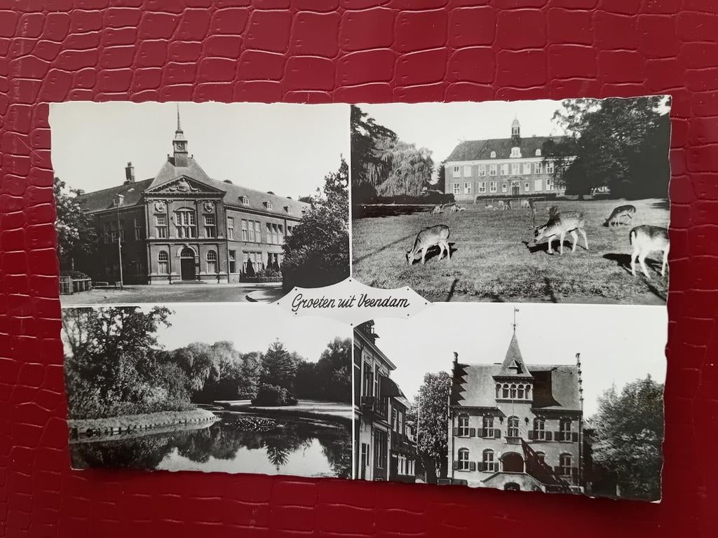 Ansichtkaart Veendam, Verzamelen, Ansichtkaarten | Nederland, Ophalen of Verzenden, Groningen