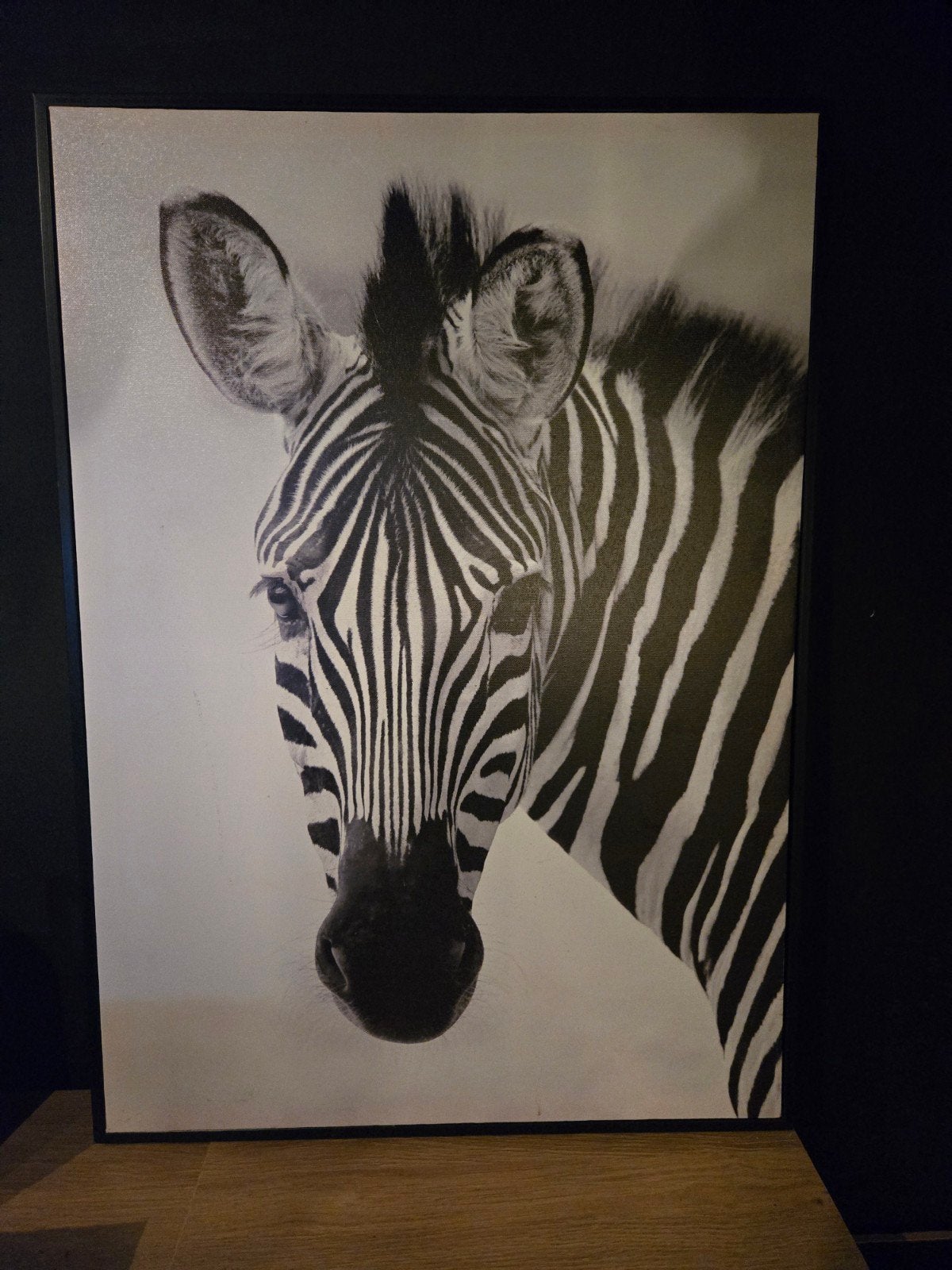 Zebra canvas met omlijsting - 50x70 cm, Ophalen, 50 – 75, Gebruikt, Print