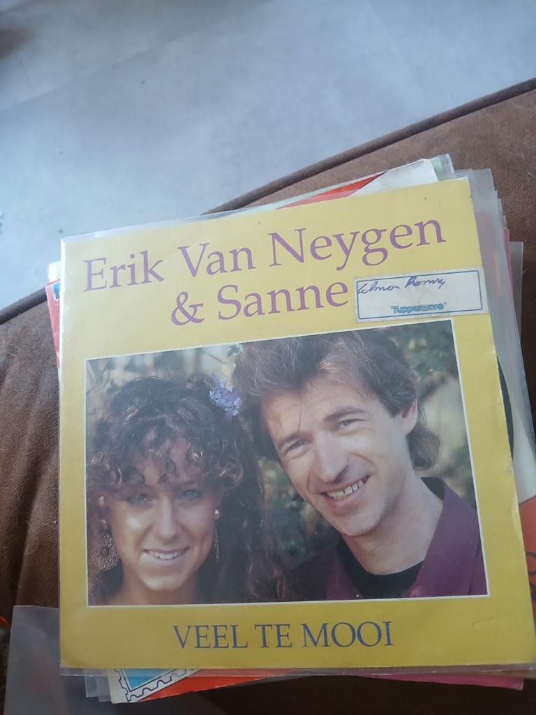 Piratentopper erik en sanne  veel te mooi, Cd's en Dvd's, Vinyl | Nederlandstalig, Ophalen of Verzenden, Zo goed als nieuw, Overige formaten