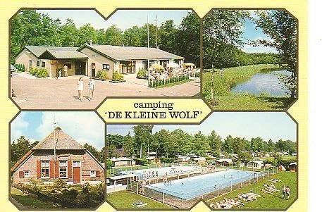 Ansichtkaart 	Ommen	De Kleine Wolf	Camping	4-luik, Verzenden, 1980 tot heden, Gelopen, Overijssel