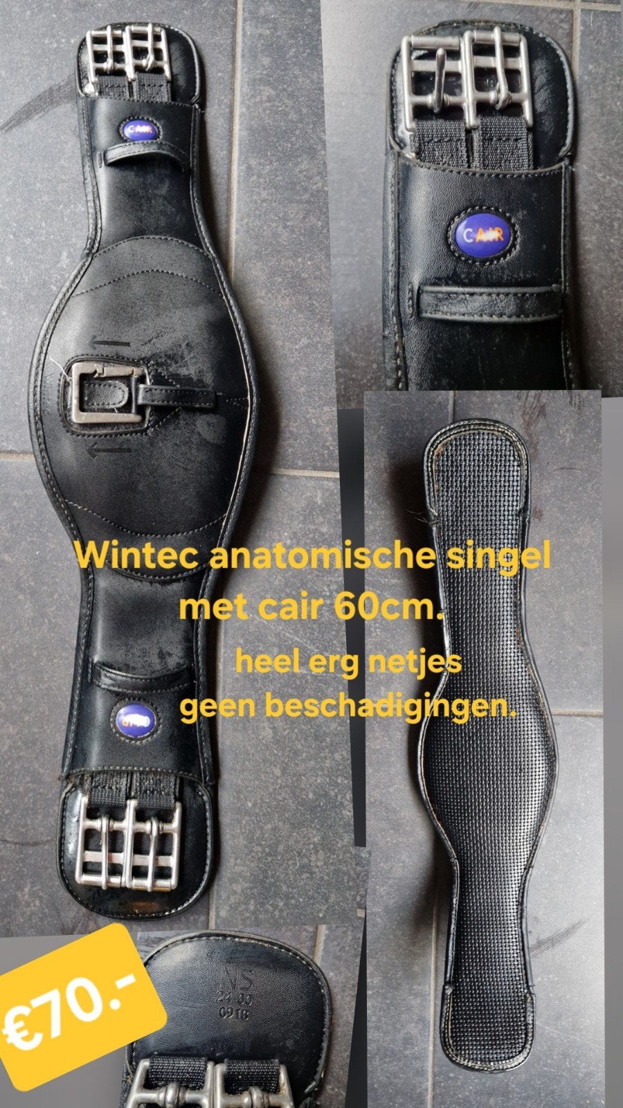 singel, Dieren en Toebehoren, Ophalen of Verzenden, Wintec, Singel