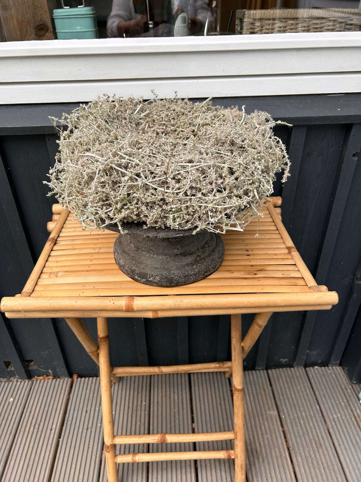 Betonnen Plantenschaal met Asparagus Krans - Ø 33/35 cm, Ophalen, Krans, Steen/keramiek, Zo goed als nieuw