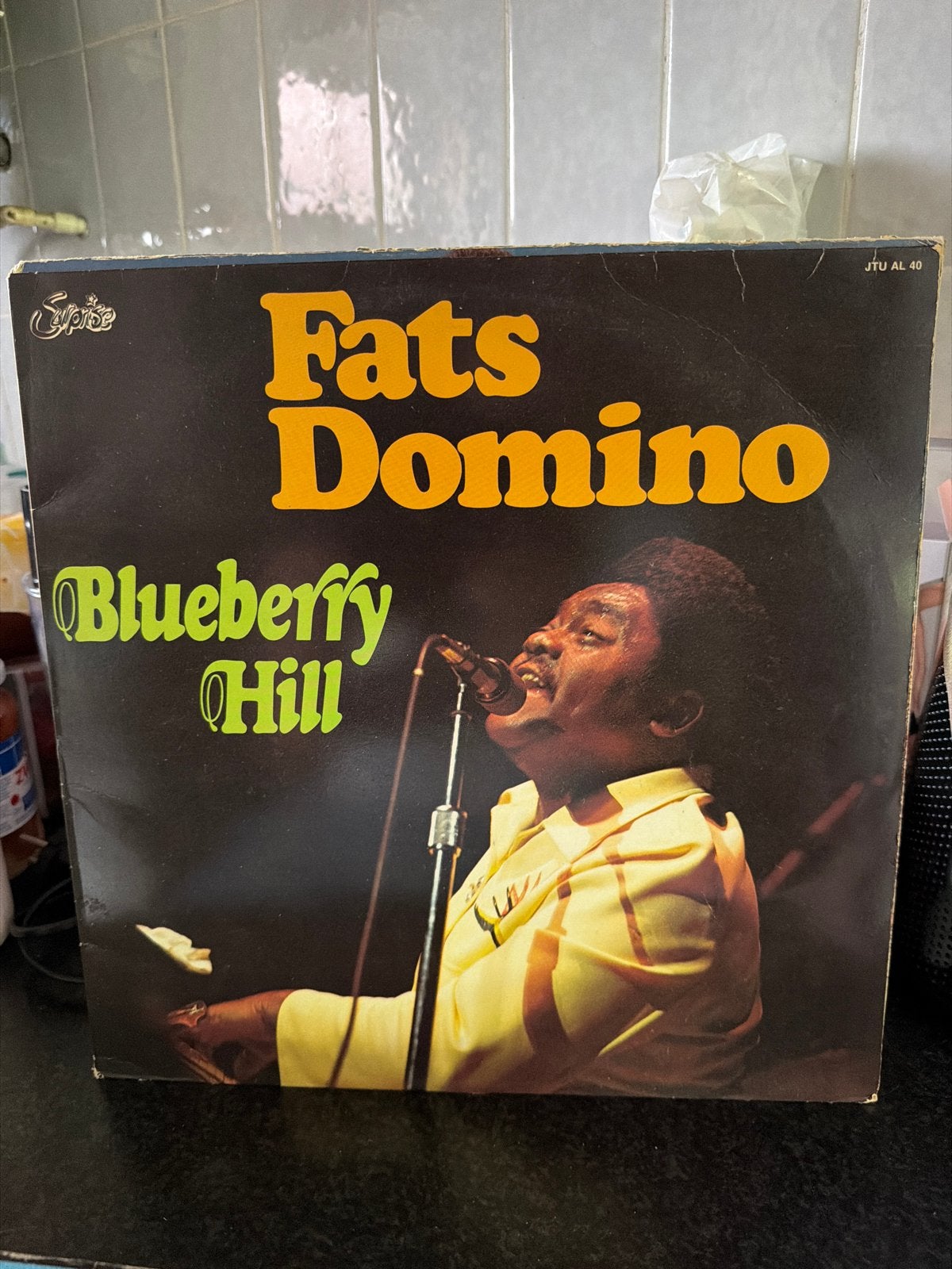 1.  Fats Domino - Blueberry Hill LP (Pop/Rock), LP, Gebruikt, Pop, Ophalen of Verzenden