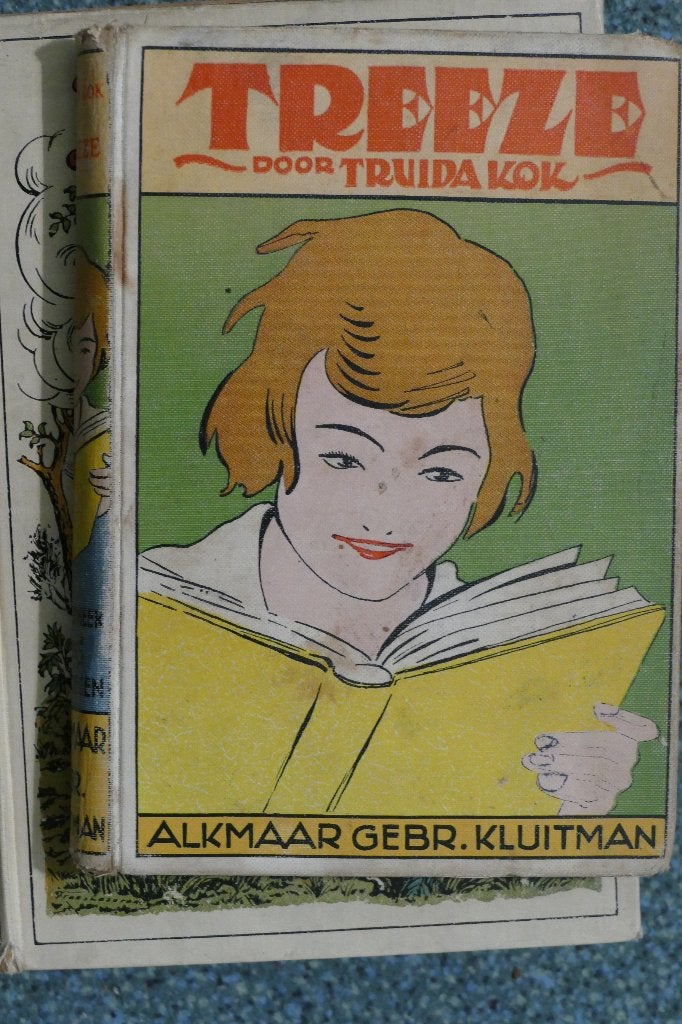 Truida Kok – Treeze, Ophalen of Verzenden, Truida Kok