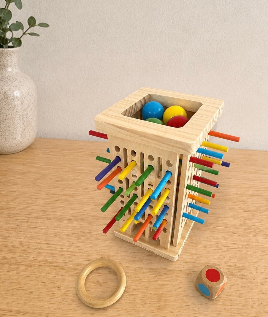 Houten motoriekspel met gekleurde stokjes, Ophalen of Verzenden, Zo goed als nieuw, Poppenhuis