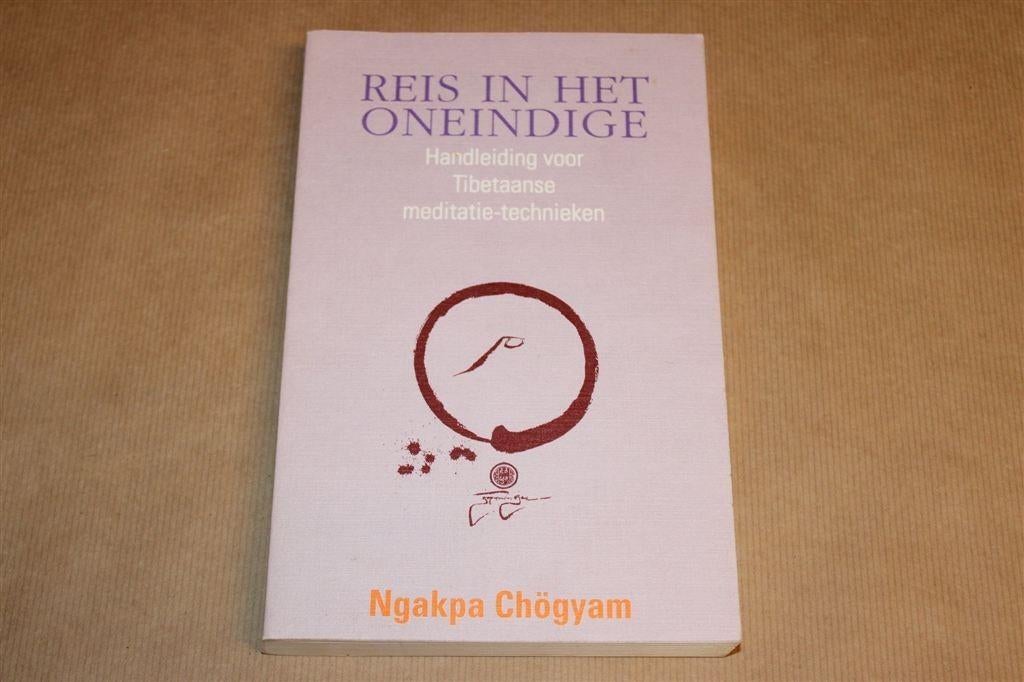 Reis in het Oneindige — Ngakpa Chögyam —Tibetaanse Meditatie, Boeken, Esoterie en Spiritualiteit, Ophalen of Verzenden, Gelezen