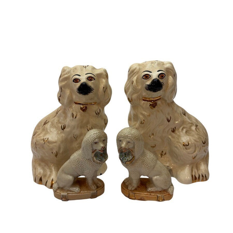 Twee paar schippershondjes, Ophalen of Verzenden, Gebruikt, Dier