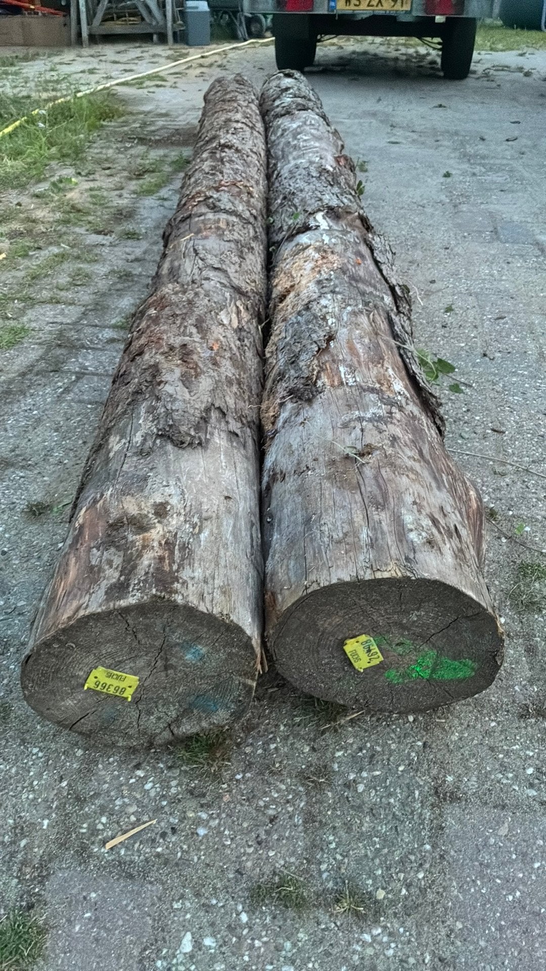 Lariks boomstammen. 2 stuks van ca 350 cm., Ophalen, Zo goed als nieuw, 250 cm of meer, Palen