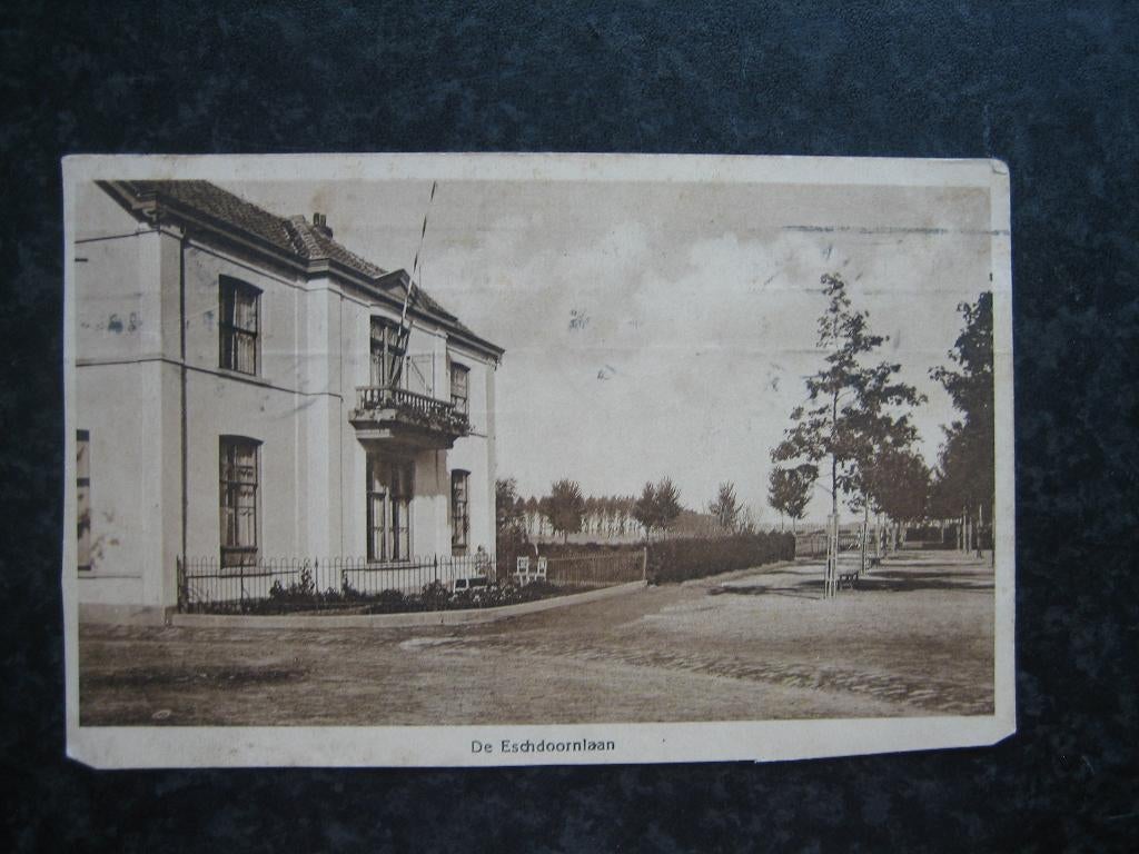 NEERBOSCH  De Eschdoornlaan 1925, Verzamelen, Ansichtkaarten | Nederland, Ophalen of Verzenden, 1920 tot 1940, Gelderland