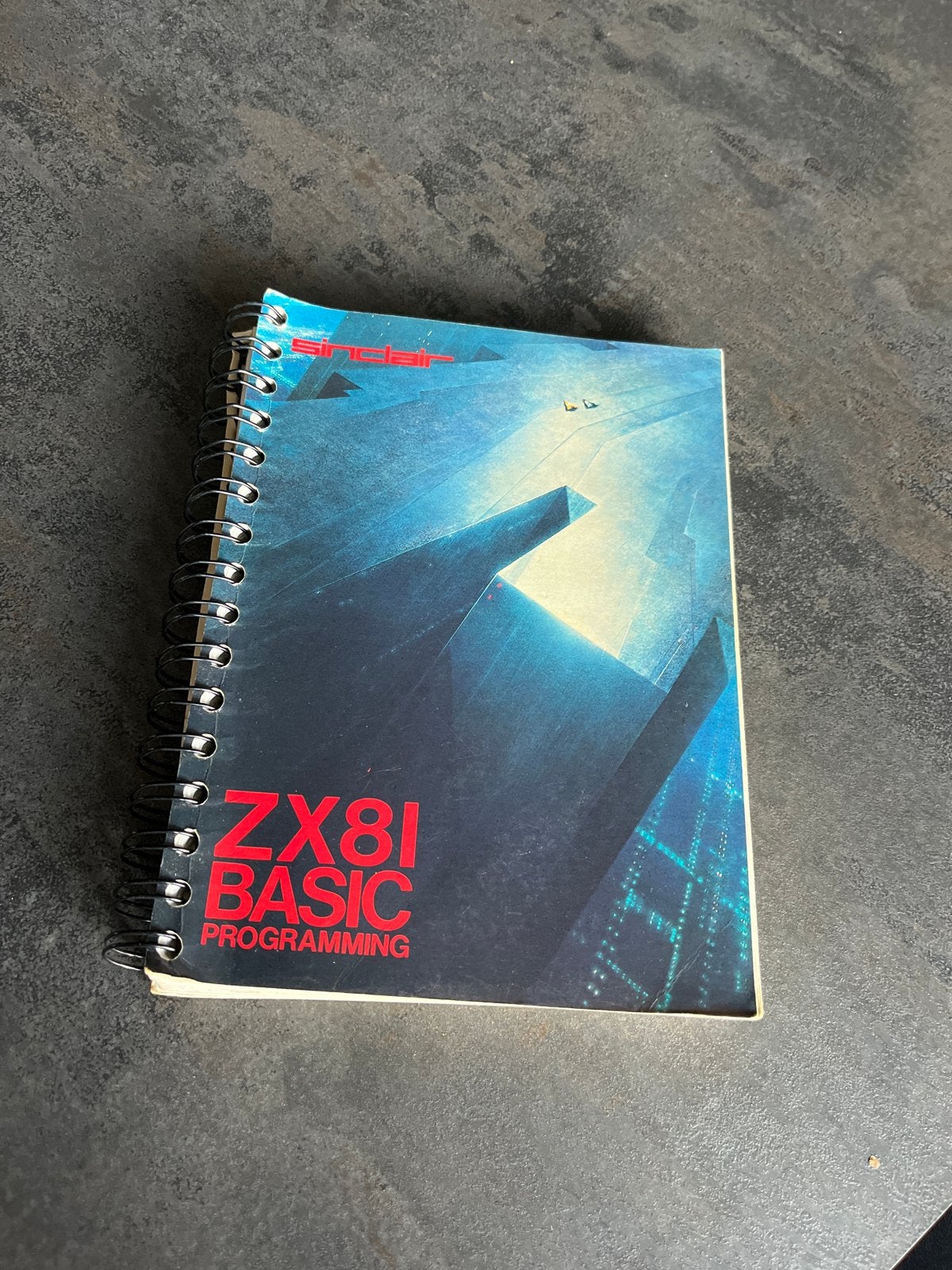Sinclair ZX81 BASIC Programming Handleiding (1981), Ophalen of Verzenden, Gelezen, Programmeertaal of Theorie