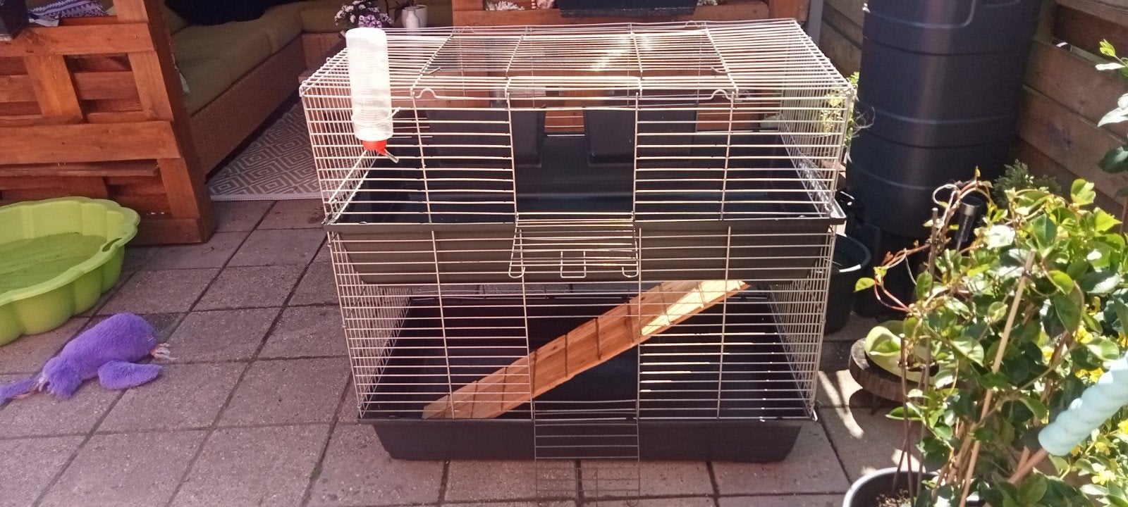 Etage konijnenhok igst, Vrouwelijk, Groot