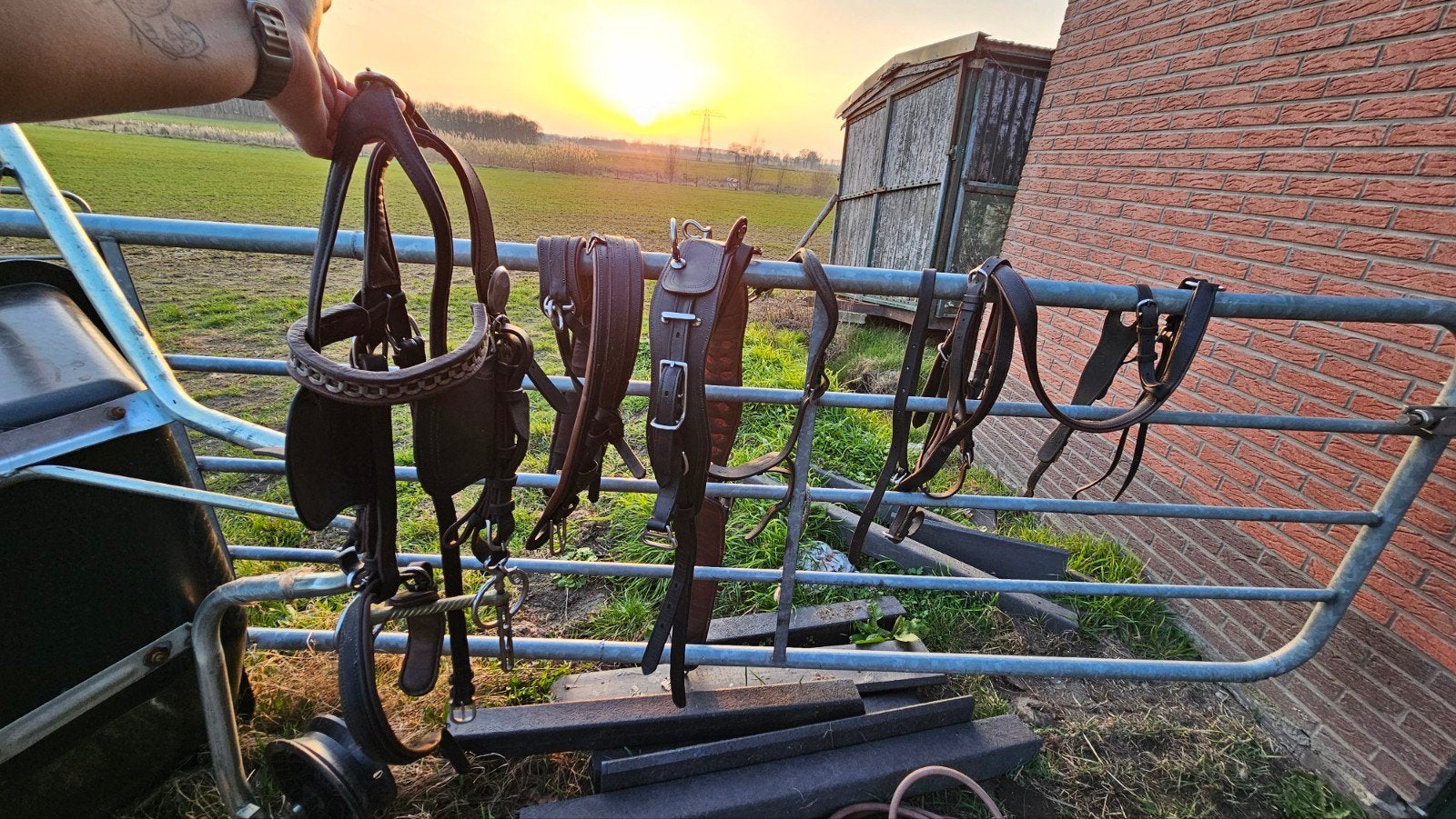 leren Clever tuig maar COB, Ophalen, Gebruikt, Cob