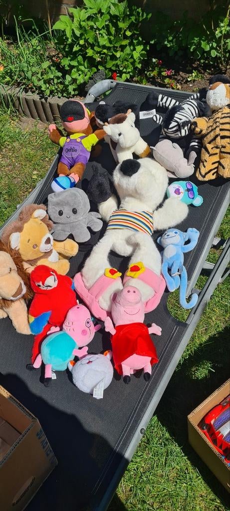 Mooie Knuffels, Ophalen of Verzenden, Zo goed als nieuw, Overige typen