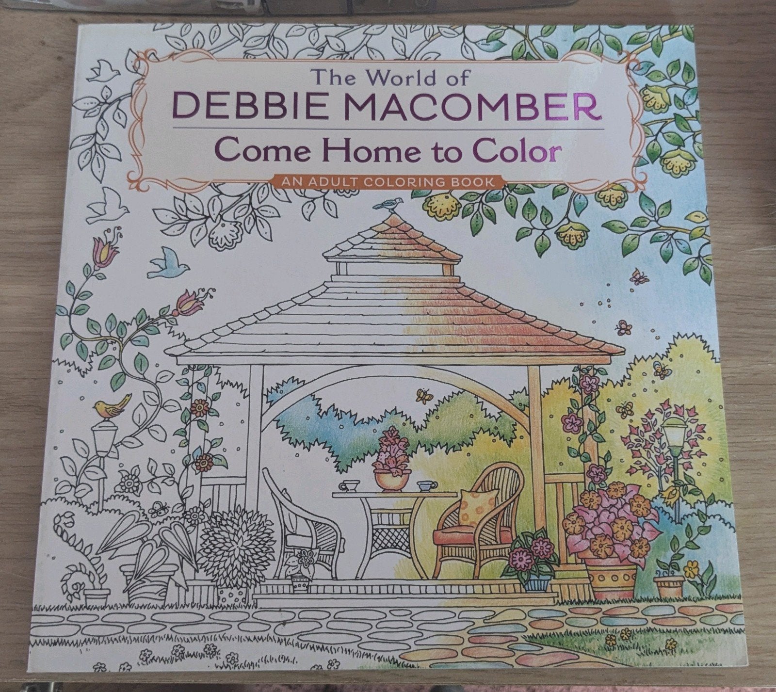 Kleurboek Debbie Macombe come home to color, Ophalen, Nieuw
