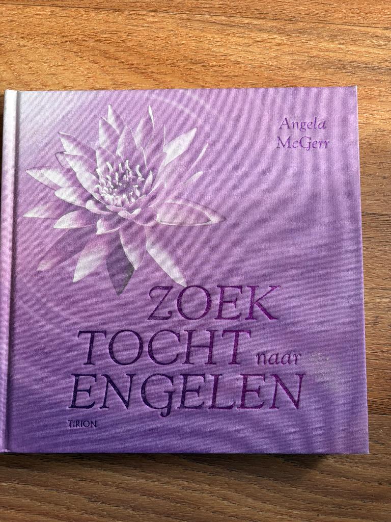 Zoektocht naar engelen Angela McGerr, Ophalen of Verzenden, Zo goed als nieuw, Tarot of Kaarten leggen, Overige typen