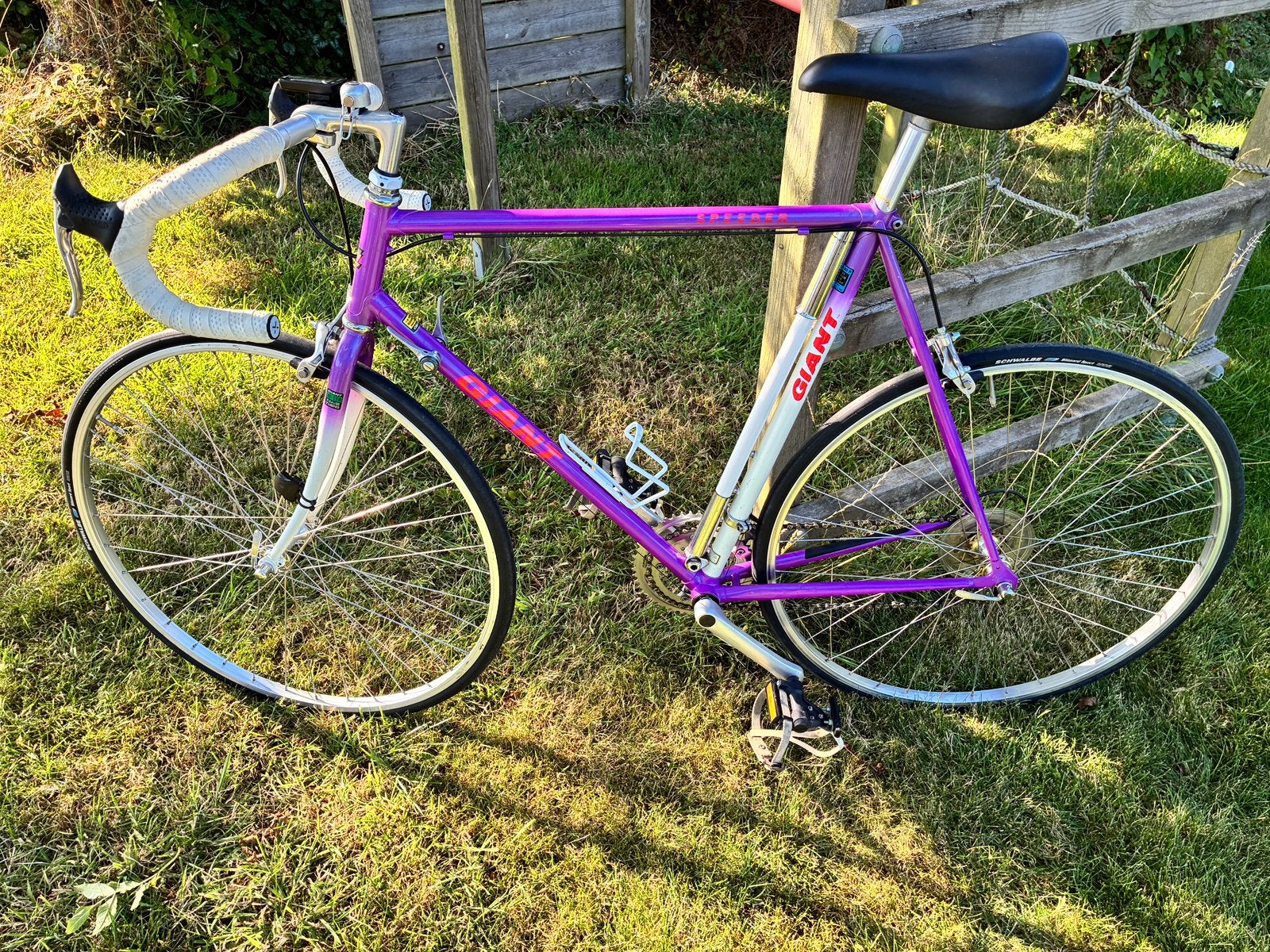 Mooiste vintage Giant racefiets ooit!, Ophalen, Zo goed als nieuw, 10 tot 15 versnellingen, Giant