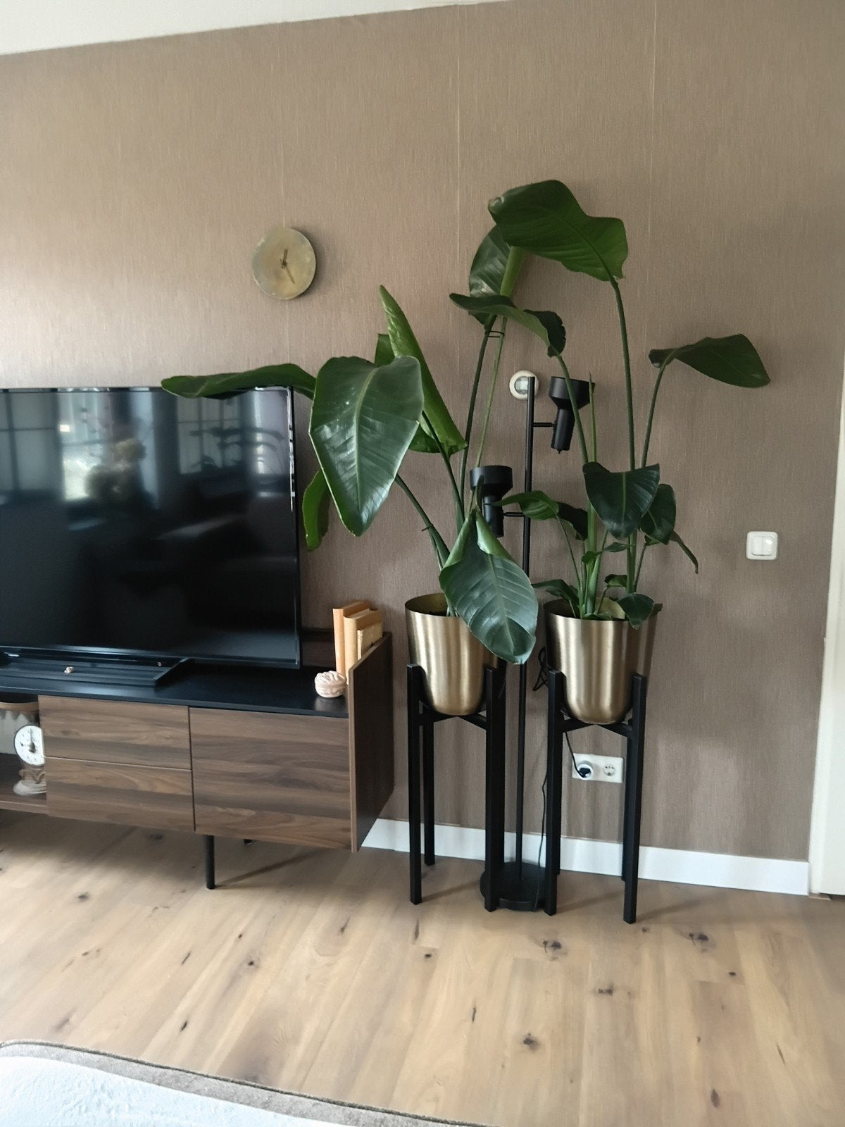 2 x Bloempot brons, goud groot, Ophalen, Minder dan 50 cm, Zo goed als nieuw, Minder dan 100 cm