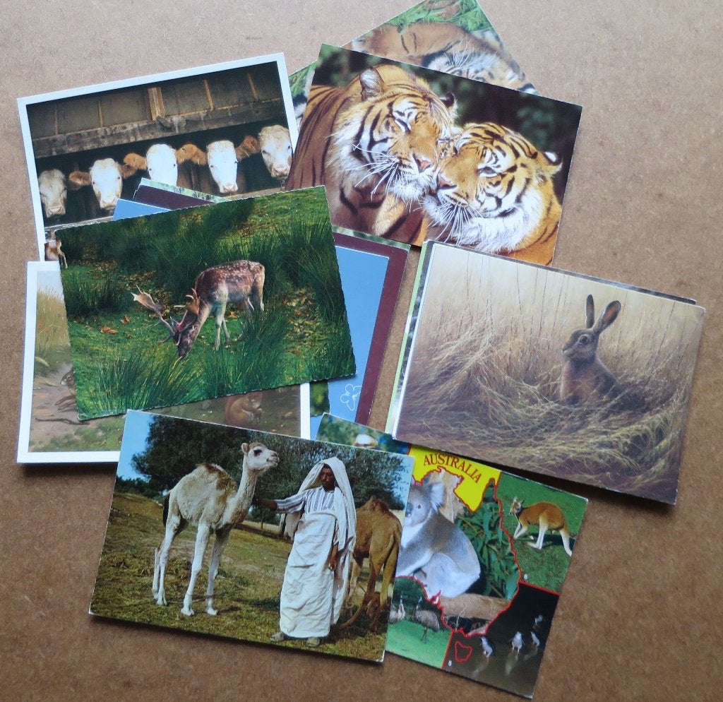 Dierenkaarten (Partij 1) Set van 25 stuks, Verzamelen, Ansichtkaarten | Dieren, Ophalen, Gelopen, Overige soorten