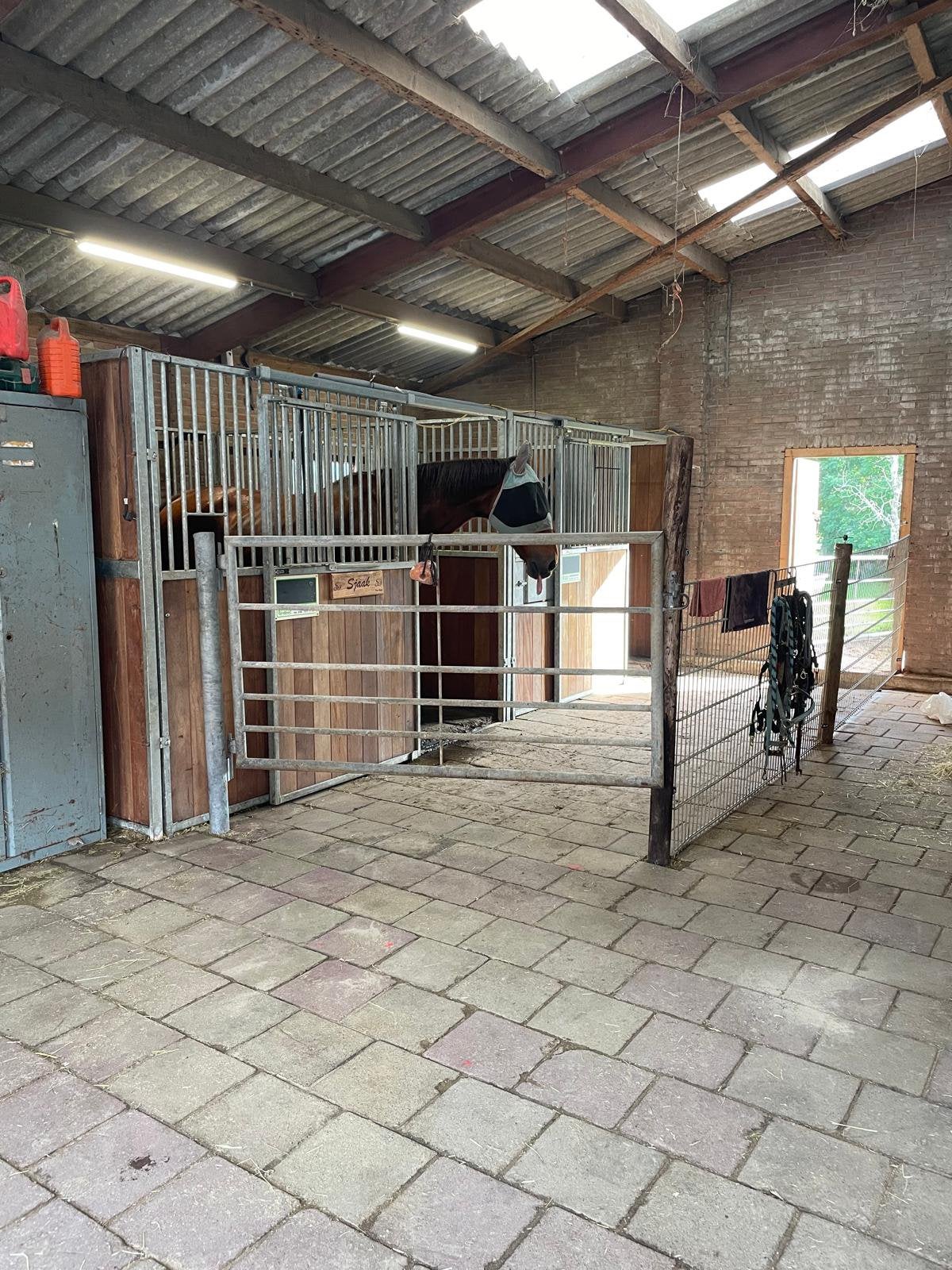 1 Paardenbox met uitloop en weidegang, Dieren en Toebehoren, Stalling en Weidegang, Weidegang