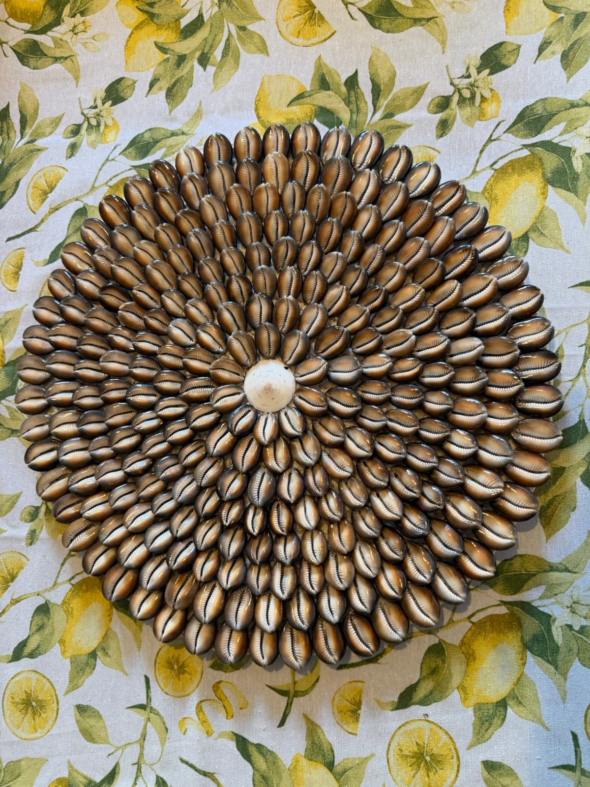 Schitterende rond kauri schelp wand hanger decoratie bruin, Huis en Inrichting, Ophalen, Boho, Nieuw, Wandbord of Wandpaneel