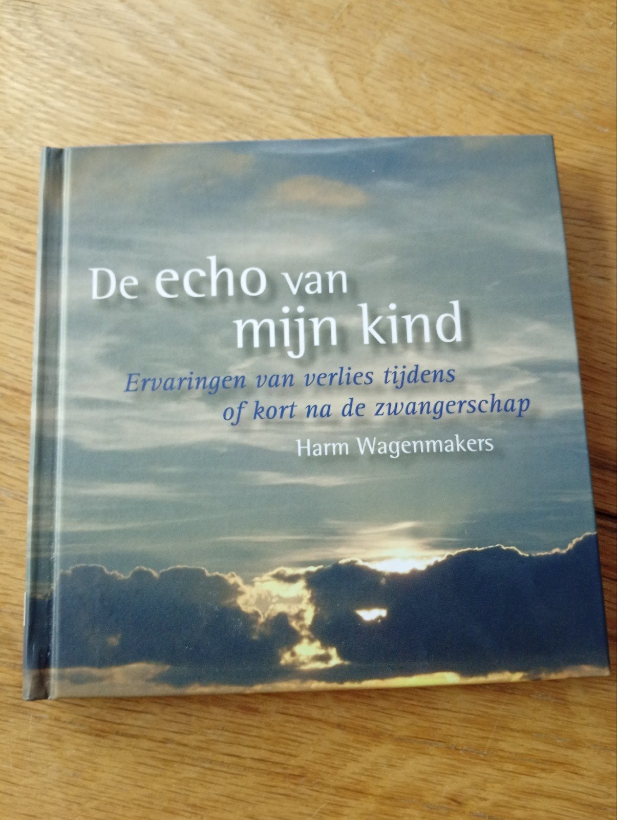 De echo van mijn kind - Harm Wagenmakers, Boeken, Harm Wagenmakers, Ophalen of Verzenden, Zo goed als nieuw, Nederland