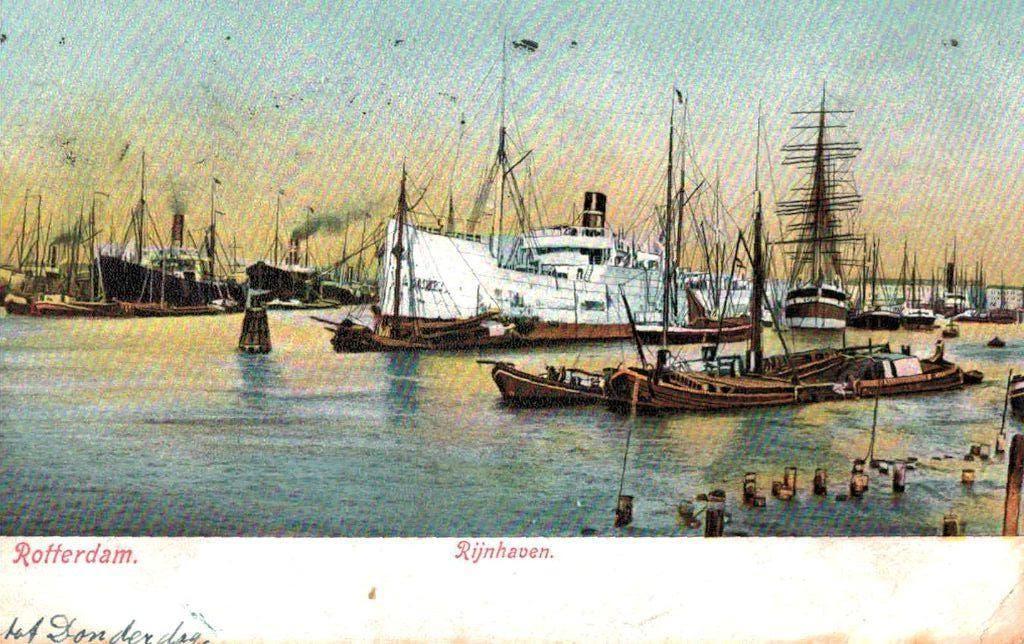 ROTTERDAM Rijnhaven 1908, Verzenden, Voor 1920, Gelopen, Zuid-Holland