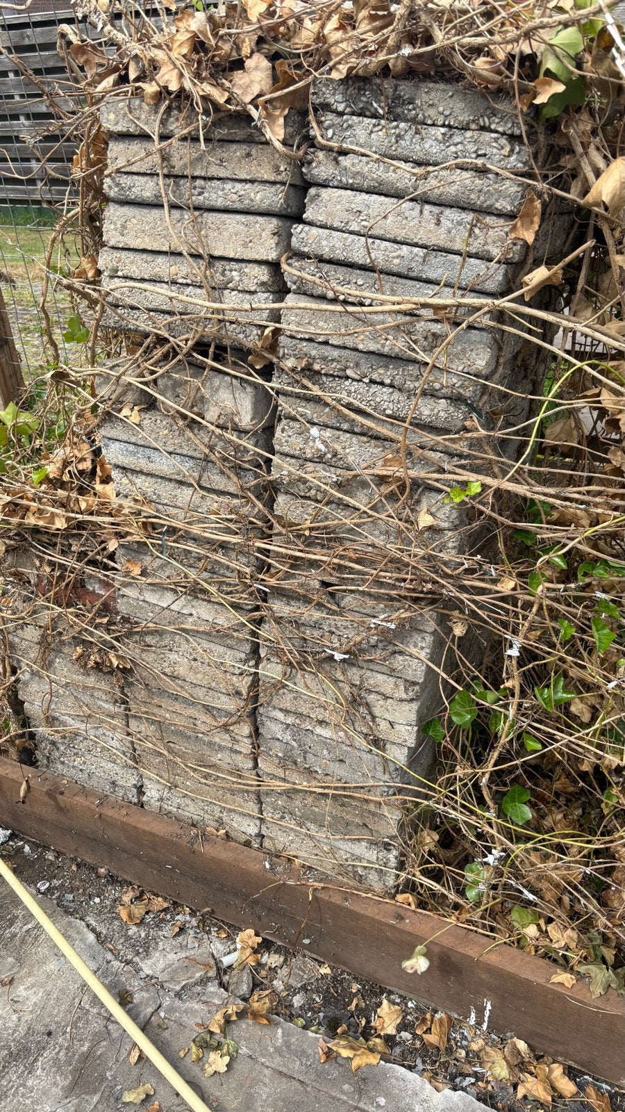 Gratis op te halen. Gebruikte stoeptegels 30x30, Tuin en Terras, Tegels en Klinkers, Ophalen, Gebruikt, 5 tot 10 m², Beton