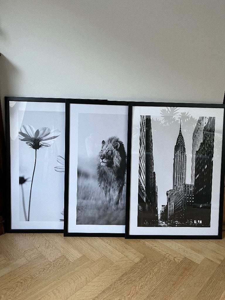 Posters met lijst, Ophalen, Kunststof, Zwart, Verwisselbare inhoud