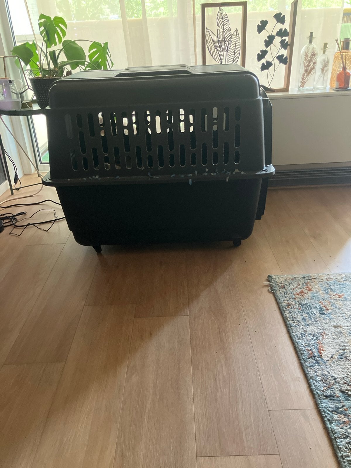 Honden bensch, Ophalen, 75 cm of meer, 50 tot 100 cm