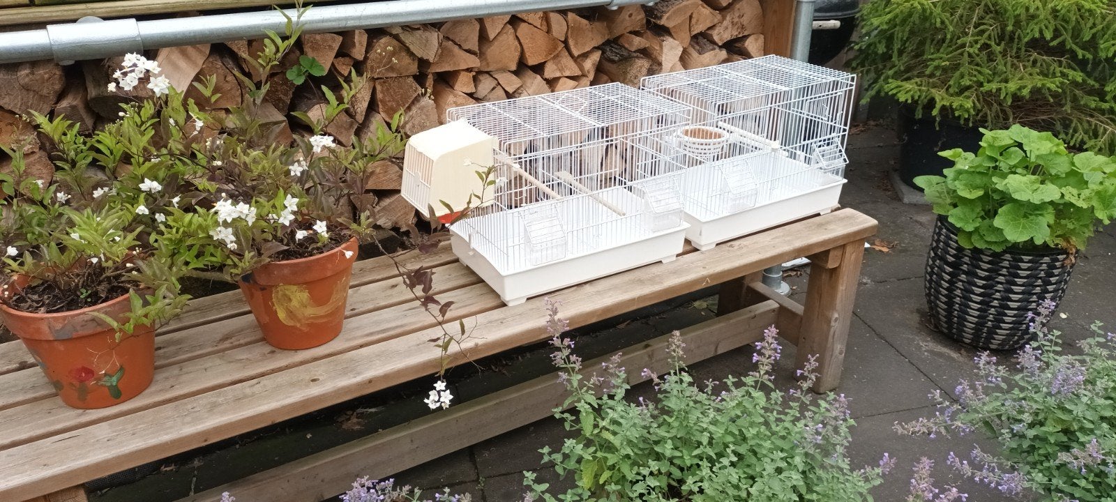 Mooie draadkooitjes., Dieren en Toebehoren, Ophalen, Zo goed als nieuw, Metaal, Broedkooi of Kweekkooi