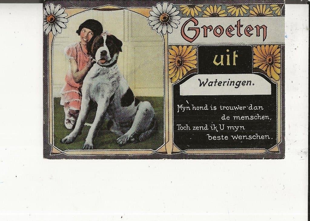 Wateringen Groeten uit Mijn hond is trouwer dan de menschen, Ophalen of Verzenden, Voor 1920, Ongelopen, Zuid-Holland