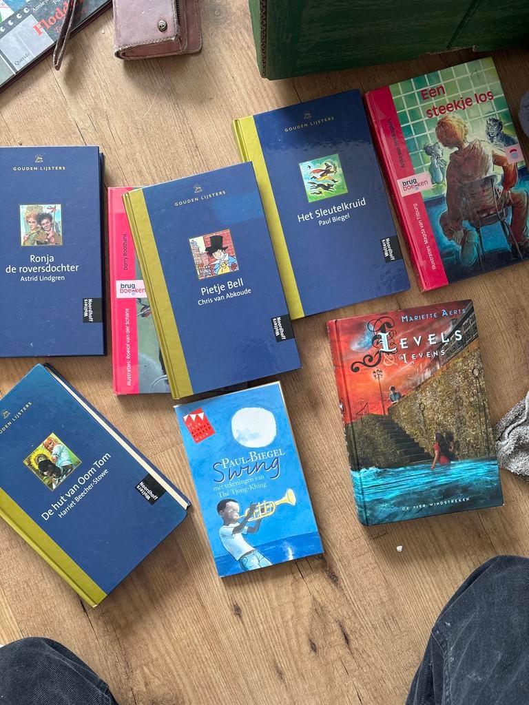 Gouden lijsters Ronja, Pietje Bell, Oom Tom, Levels, Boeken, Ophalen of Verzenden, Gelezen, Fictie algemeen