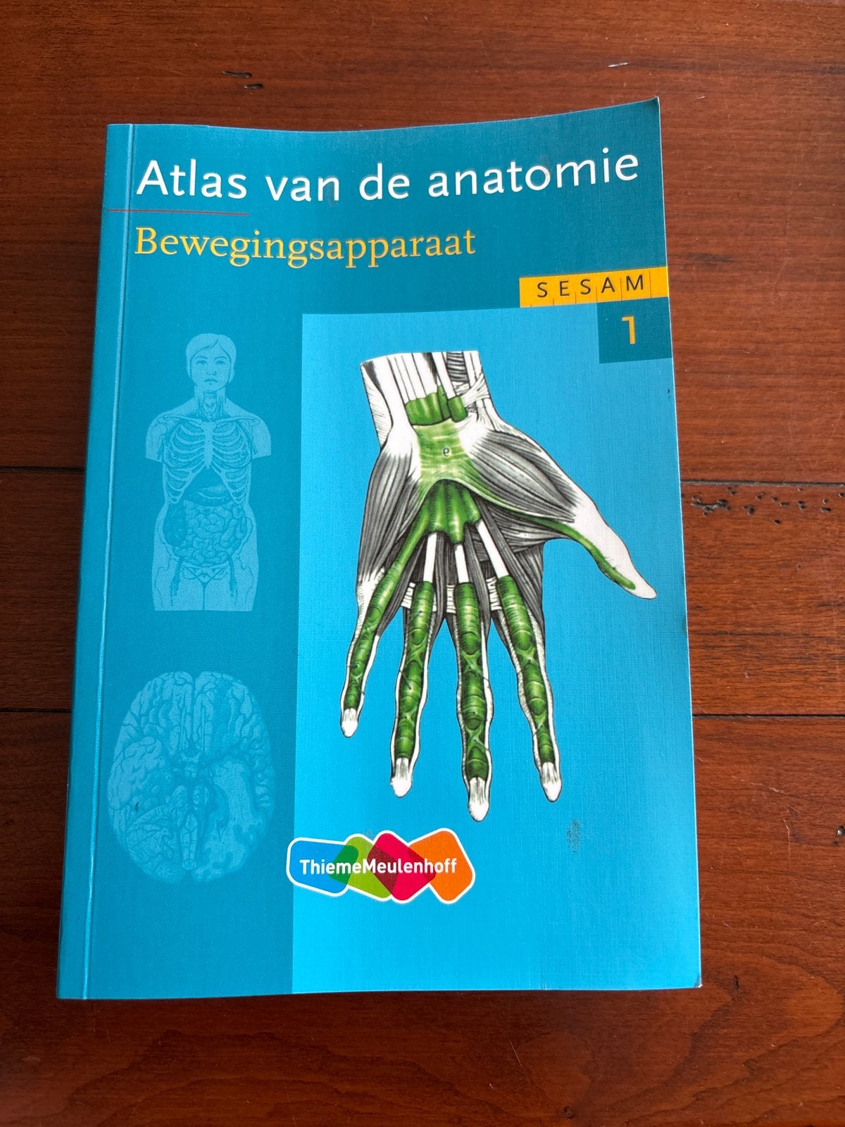 Atlas van de anatomie: Bewegingsapparaat SESAM 1, Boeken, Studieboeken en Cursussen, Ophalen, Beta, Zo goed als nieuw, HBO