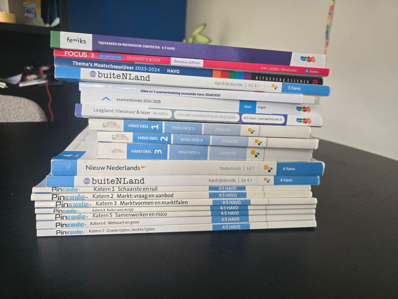 Diverse schoolboeken HAVO 4/5 - Nette staat, Ophalen of Verzenden, Zo goed als nieuw, HAVO