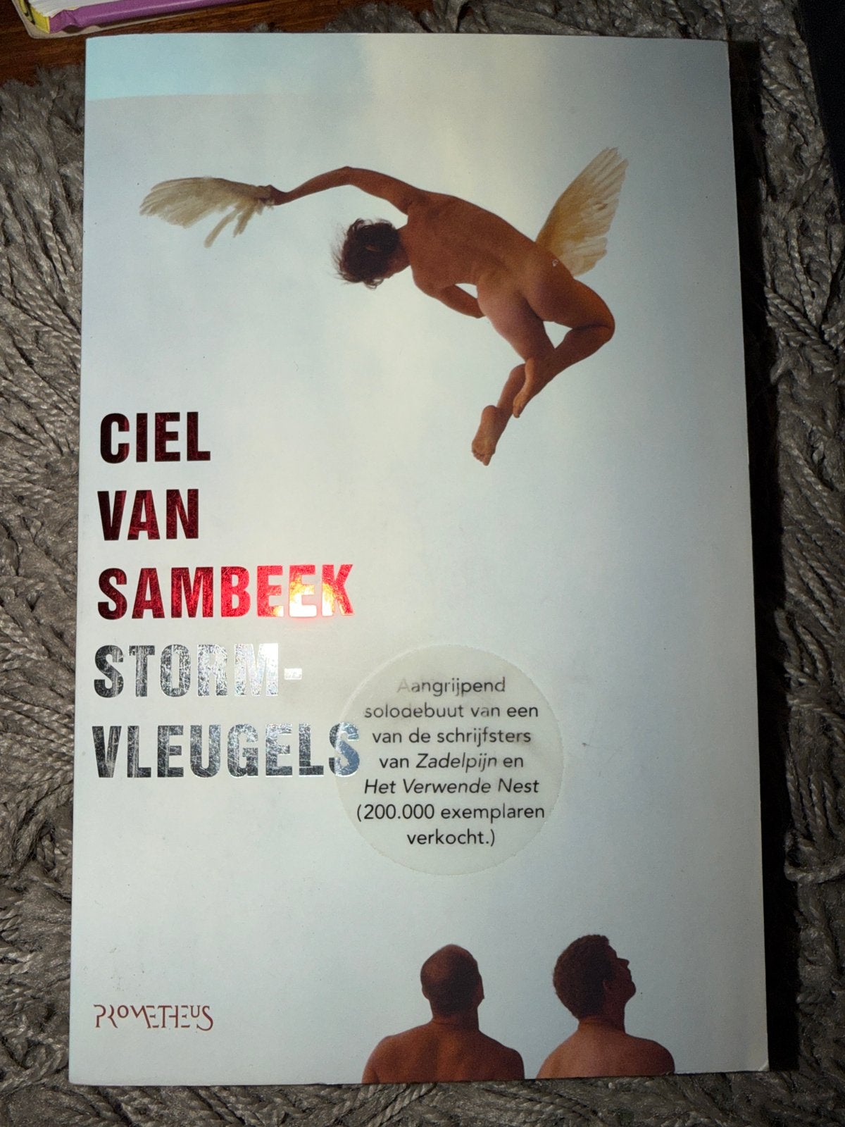 Z0.   Ciel van Sambeek - Stormvleugels (Boek), Boeken, Ophalen of Verzenden, Zo goed als nieuw, Nederland