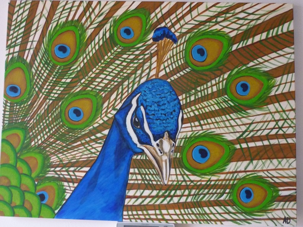Pauw, Acrylverf, Handgeschilderd, Ophalen of Verzenden, Dieren