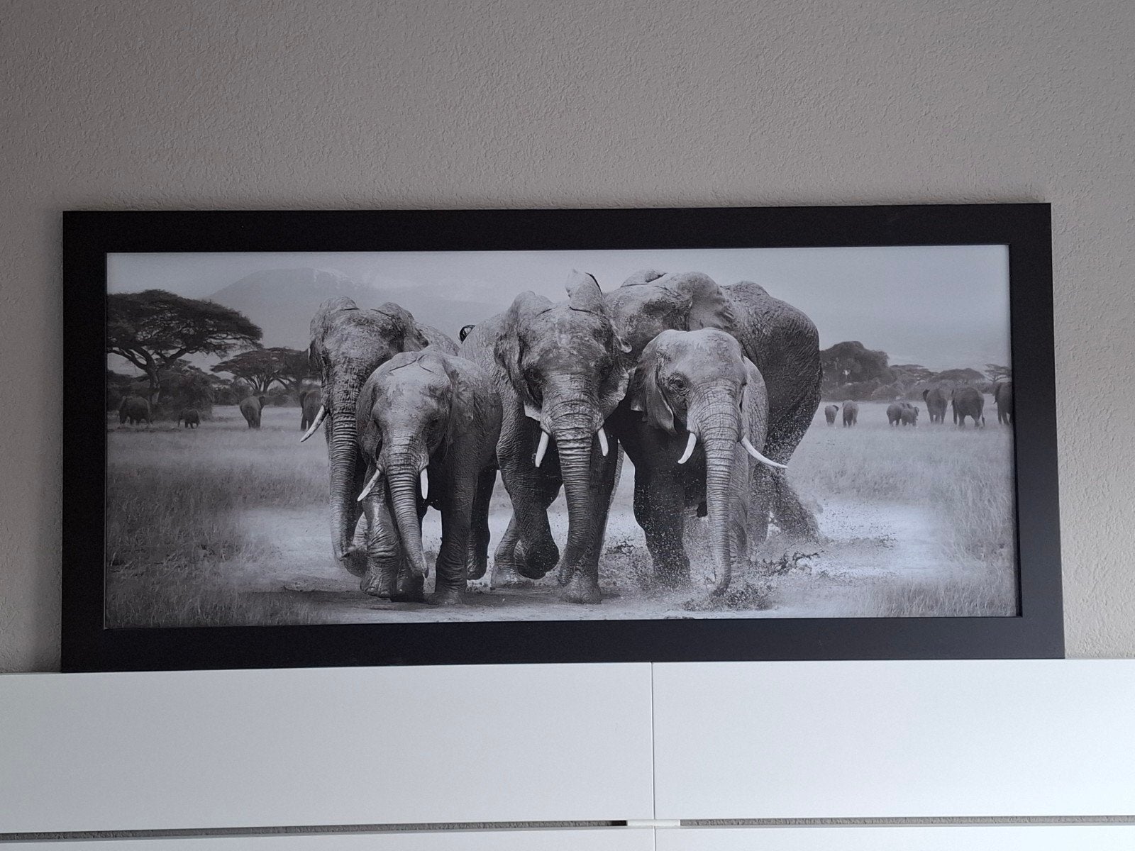 Ingelijste olifantenprint - Zwart-wit, Ophalen, Gebruikt, 100 tot 125 cm, Print