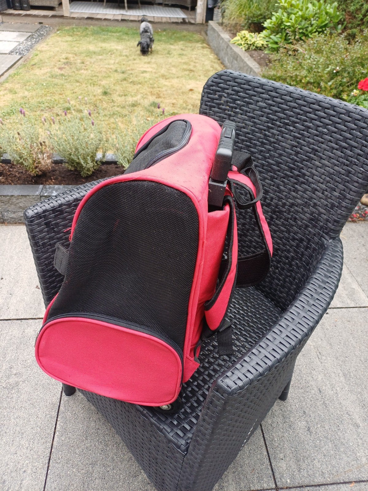 Te Koop:, Dieren en Toebehoren, Ophalen