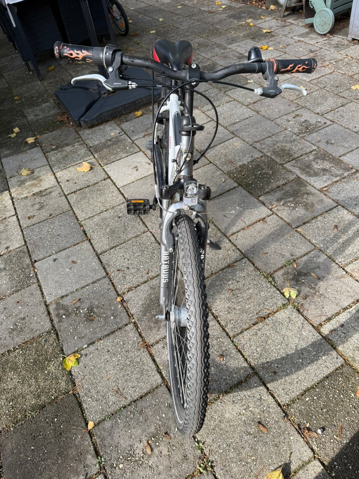 Batavus Snake Frame maat 43 Bandenmaat 26, Fietsen en Brommers, Ophalen, Gebruikt, 20 inch of meer, Batavus